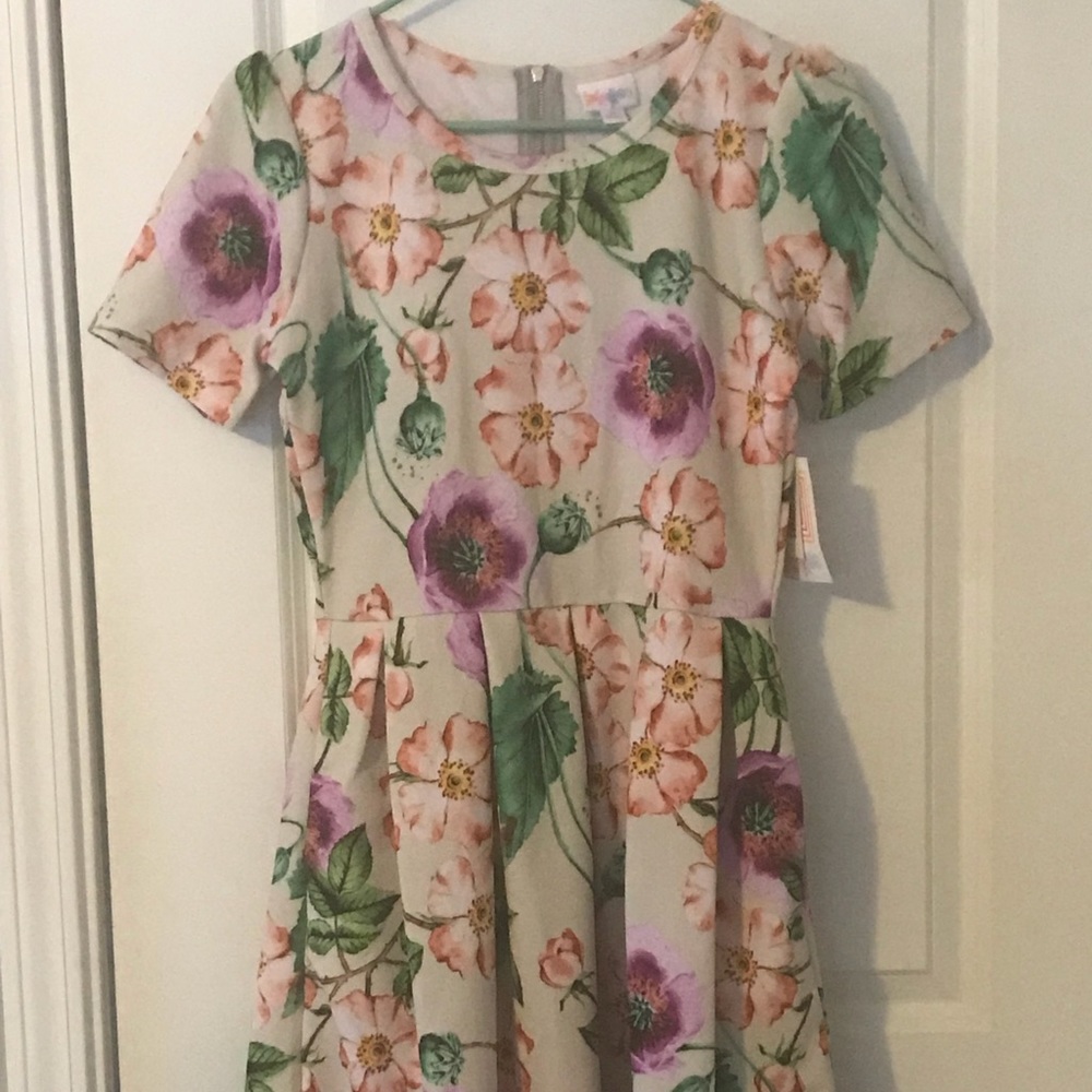 LuLaRoe Amelia Floral Dress